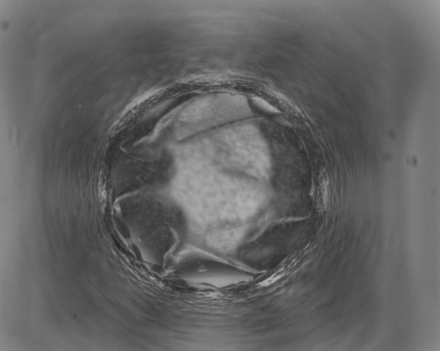 X0000081421206200702021619