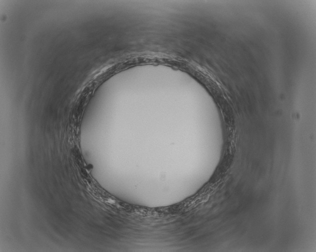 X0000081421207200702021619