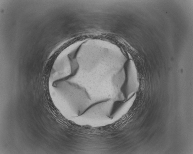 X0000081421208200702021619