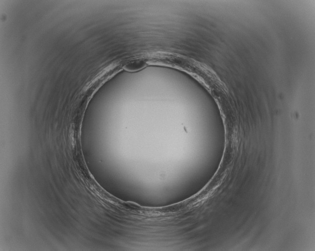 X0000081421209200702021619