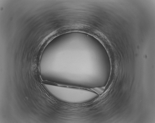 X0000081421210200702021619