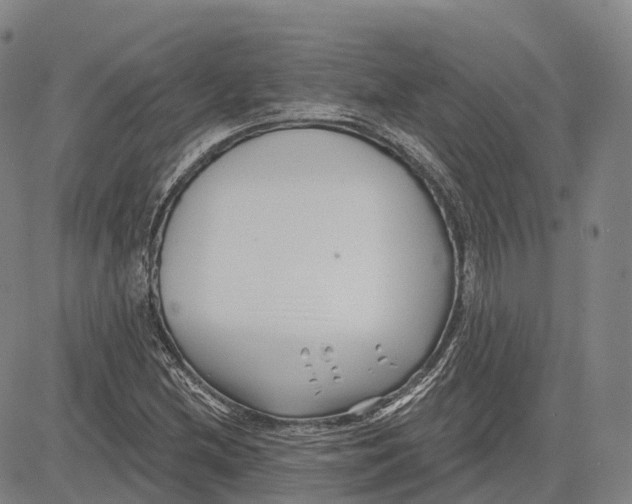 X0000081421212200702021619