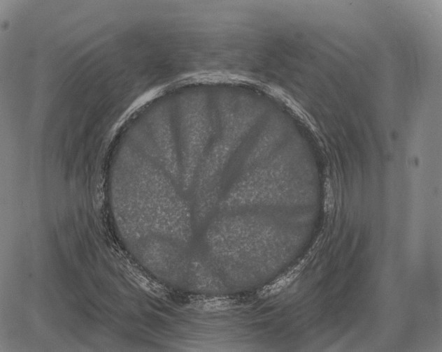 X0000081421213200702021619