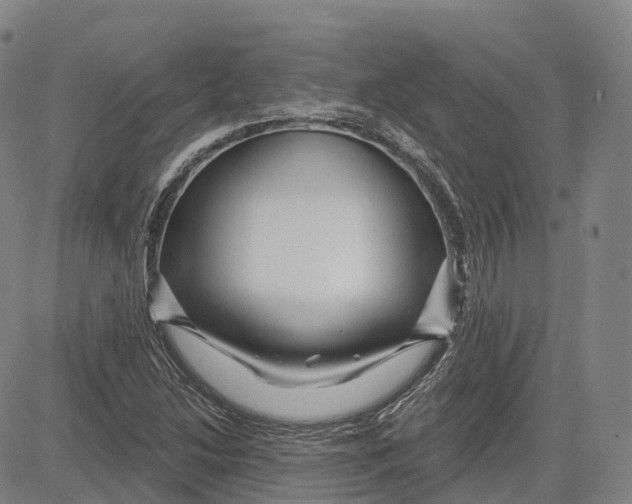 X0000081421214200702021619