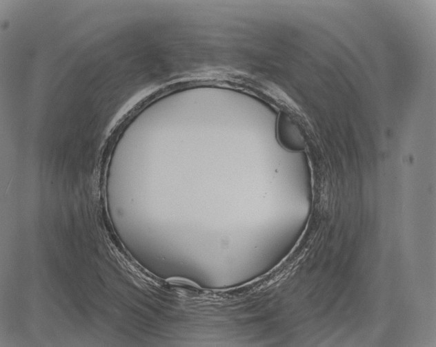 X0000081421216200702021619