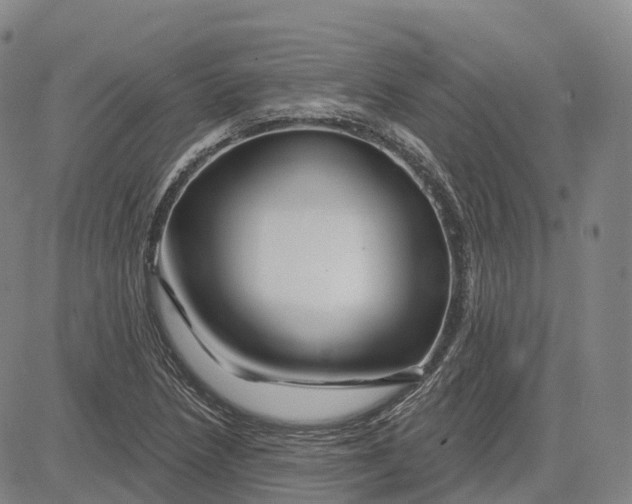 X0000081421218200702021619