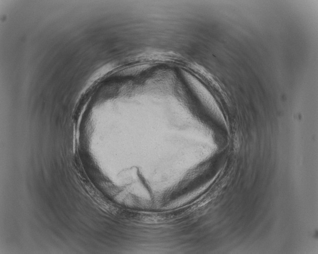 X0000081421219200702021619