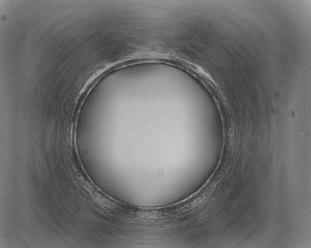 X0000081421220200702021619