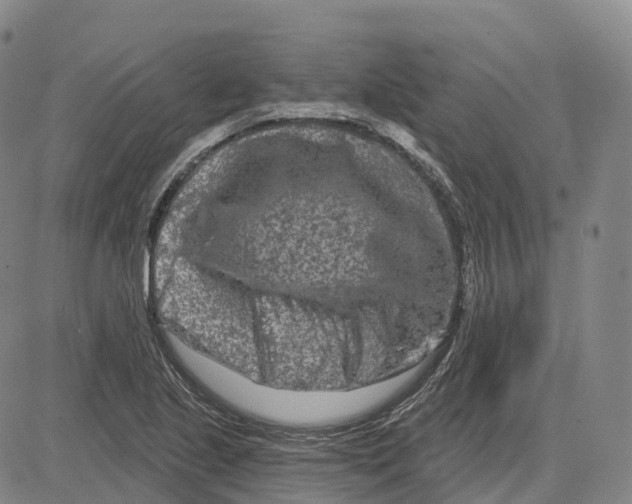 X0000081421221200702021619