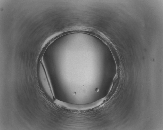 X0000081421222200702021619