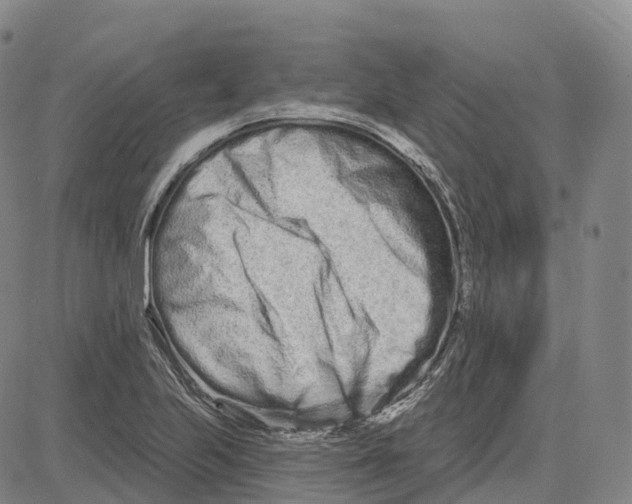 X0000081421223200702021619