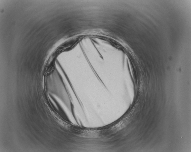 X0000081421224200702021619