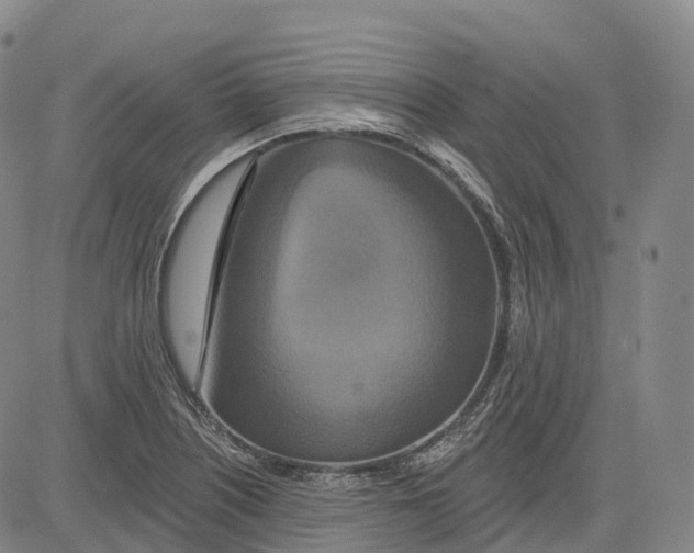 X0000081421226200702021619