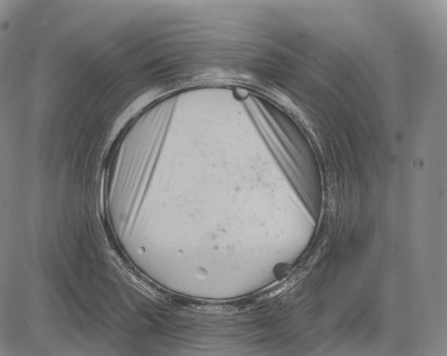 X0000081421227200702021619