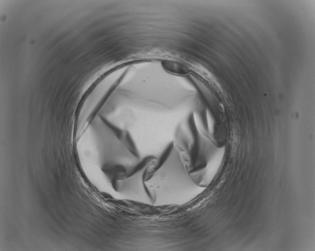 X0000081421228200702021619