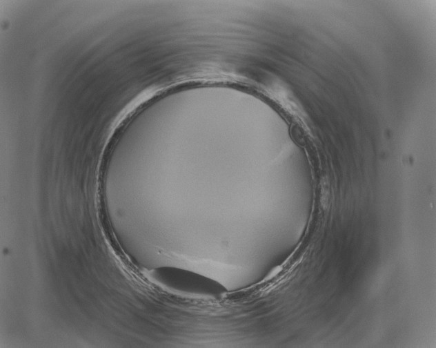 X0000081421229200702021619