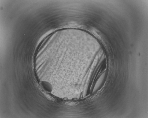 X0000081421230200702021619