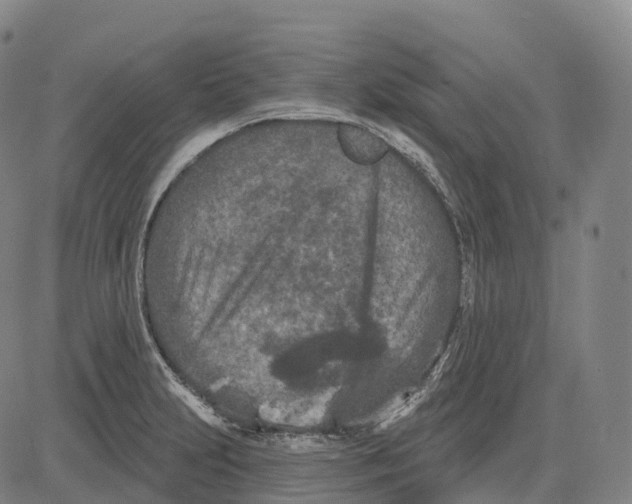 X0000081421231200702021619