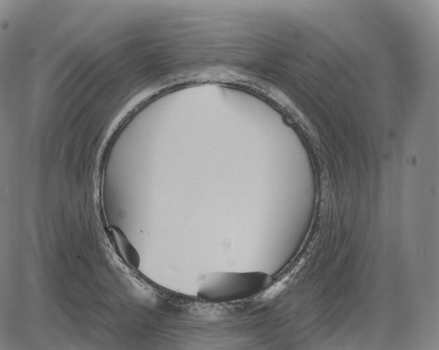 X0000081421232200702021619