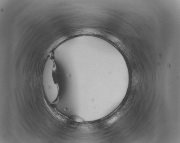 X0000081421233200702021619