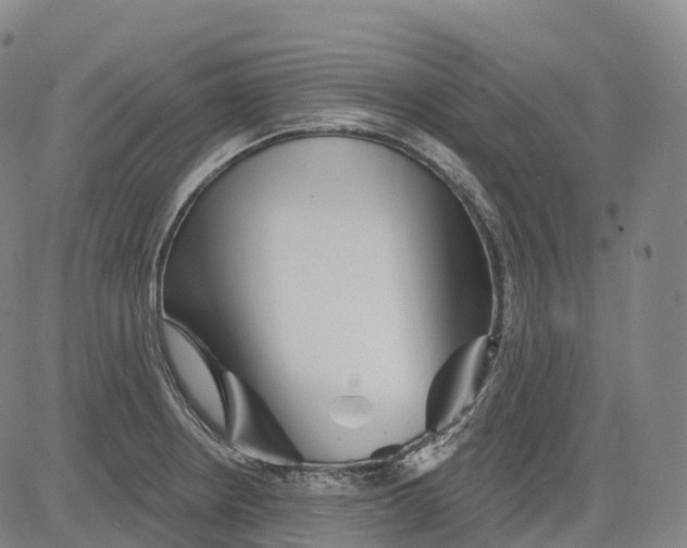 X0000081421234200702021619