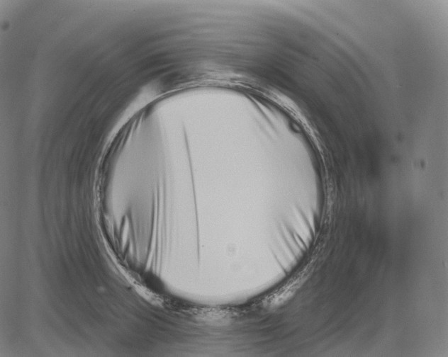 X0000081421235200702021619