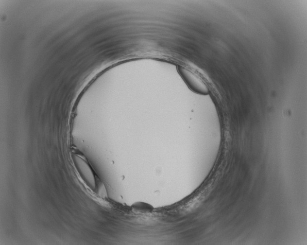 X0000081421236200702021619