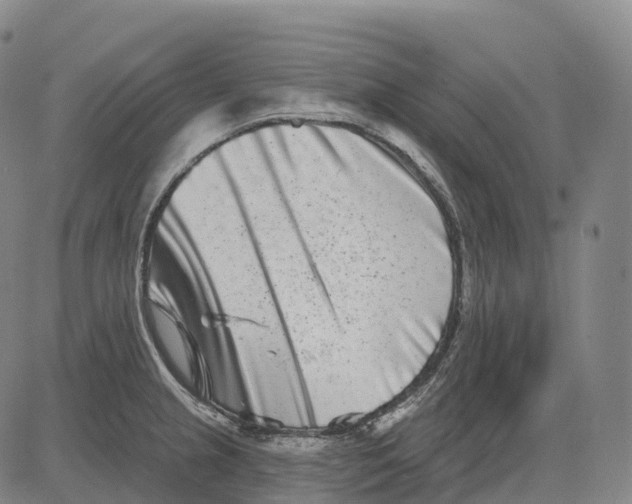 X0000081421237200702021619