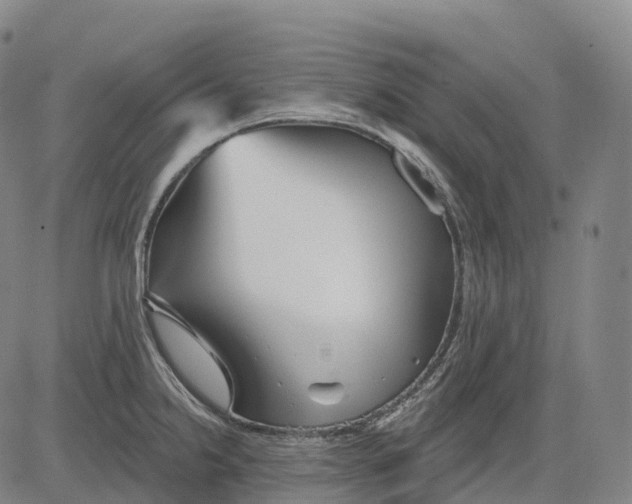 X0000081421238200702021619