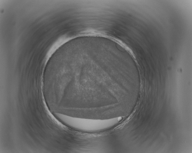 X0000081421239200702021619