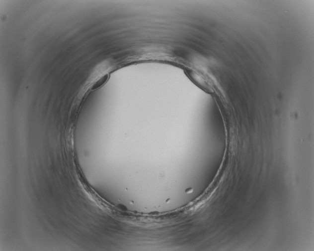 X0000081421241200702021619