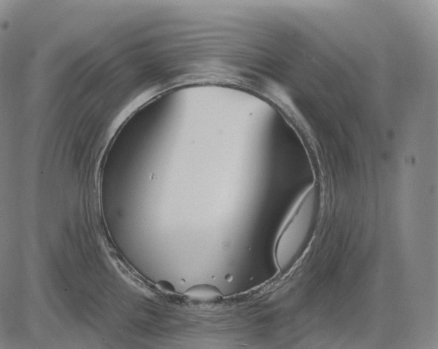 X0000081421242200702021619