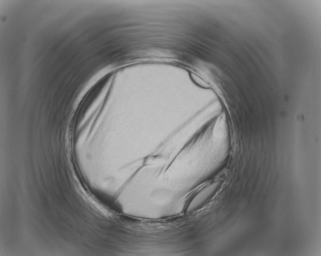 X0000081421243200702021619