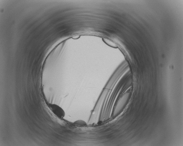 X0000081421244200702021619