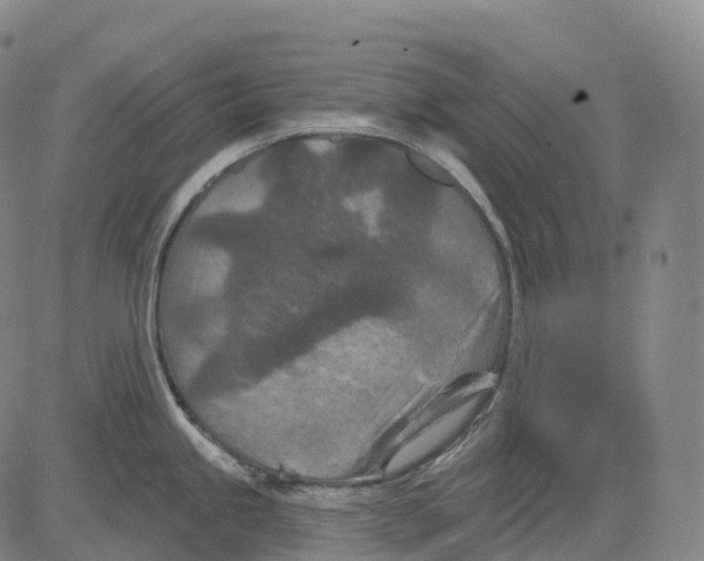 X0000081421245200702021619