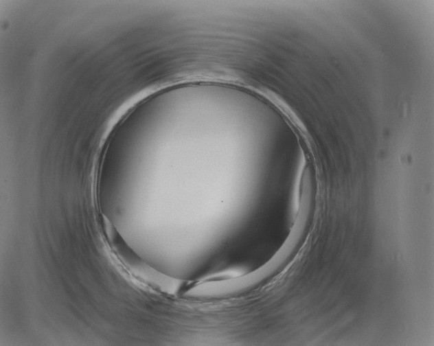 X0000081421246200702021619