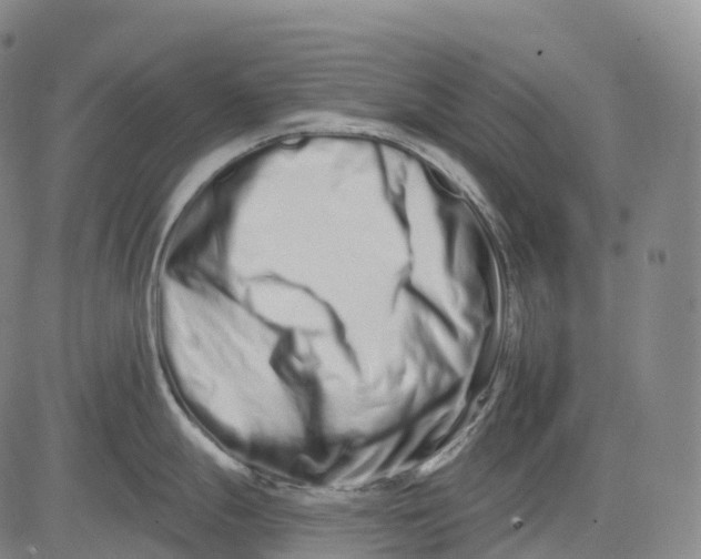 X0000081421247200702021619