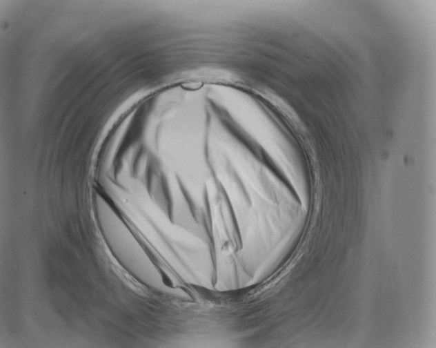 X0000081421248200702021619