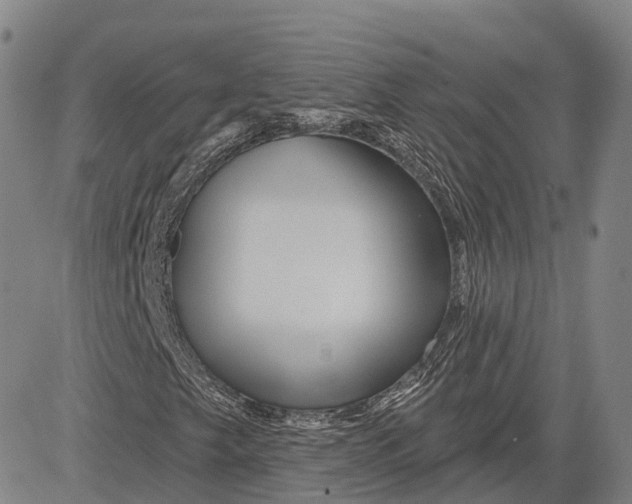 X0000081421249200702021619