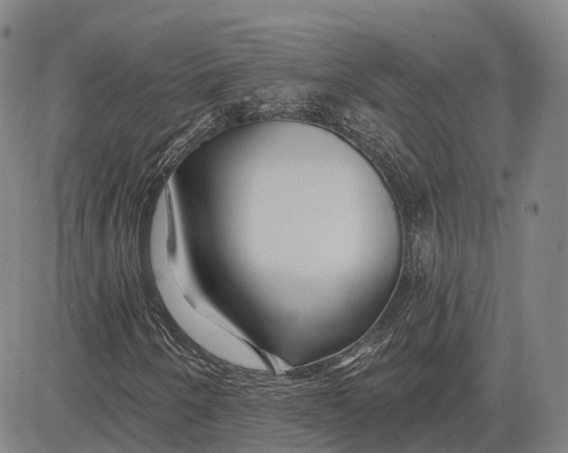 X0000081421250200702021619