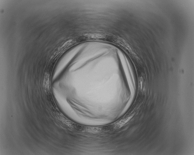 X0000081421251200702021619