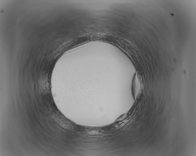 X0000081421252200702021619