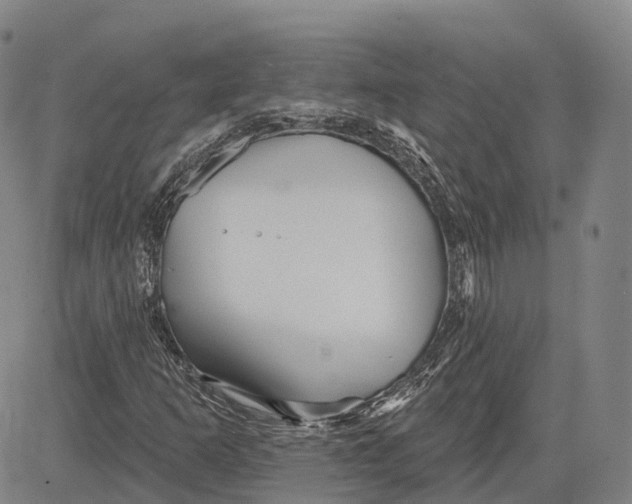 X0000081421253200702021619