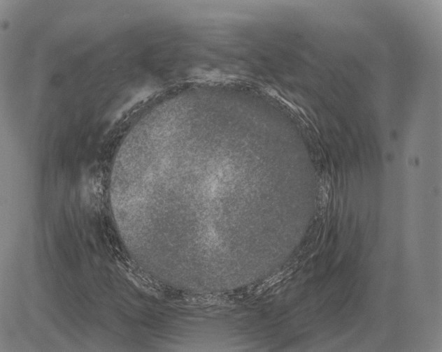 X0000081421254200702021619