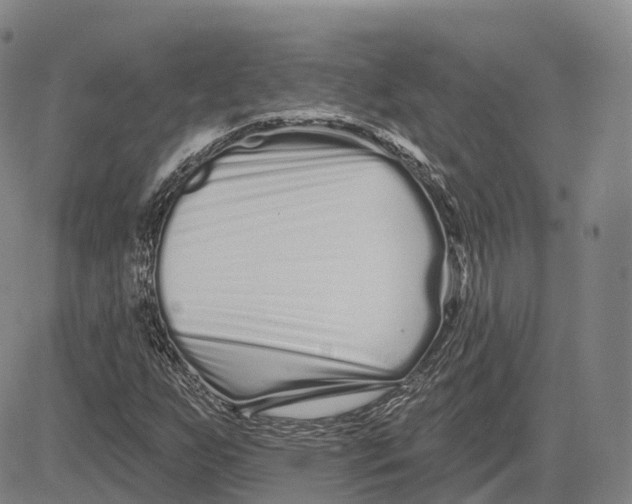 X0000081421255200702021619