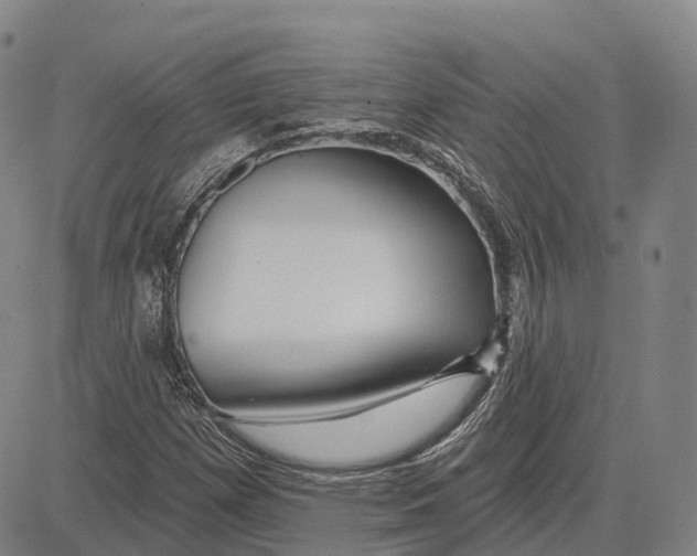 X0000081421257200702021618