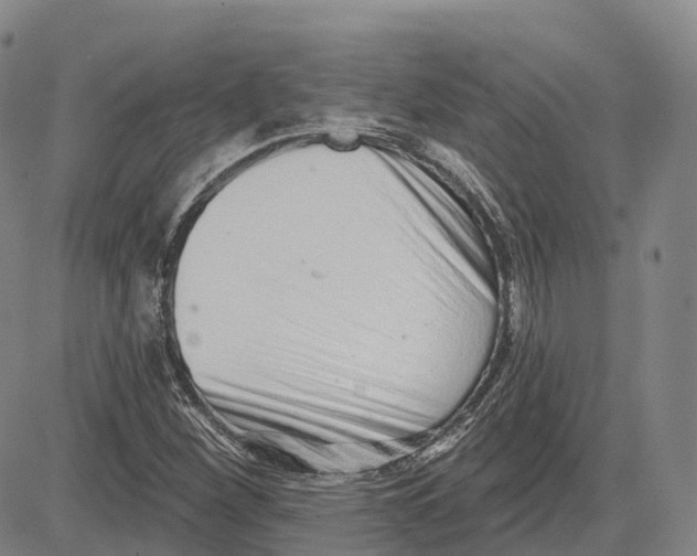 X0000081421260200702021618