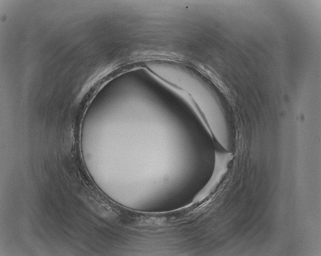 X0000081421261200702021618