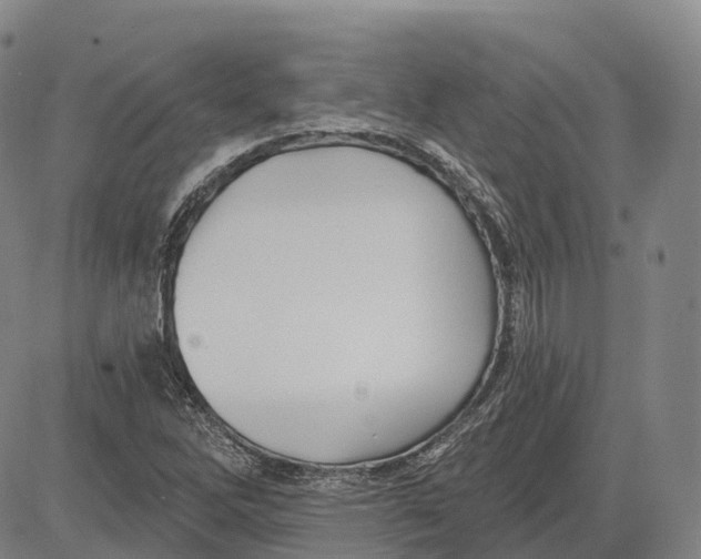 X0000081421262200702021618