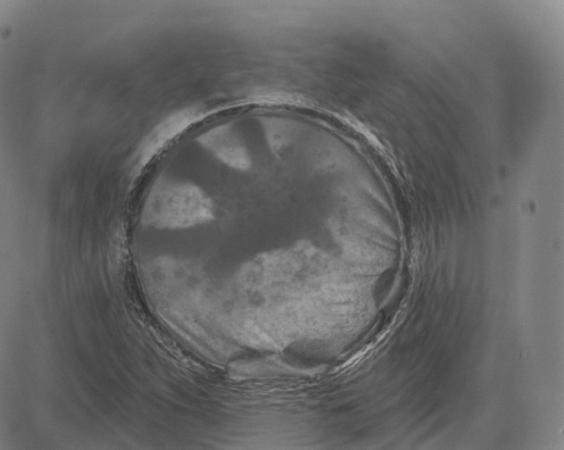 X0000081421263200702021618